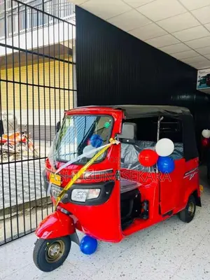 TVS King 2026 Three Wheel Brand New