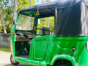 Other Rik 2026 Three Wheel (Used)