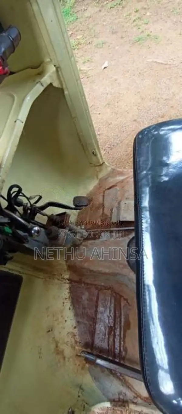 Bajaj 2 Stroke 1991 Three Wheel (Used)