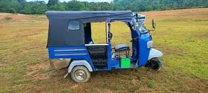 Piaggio Ape 2012 Three Wheel (Used)