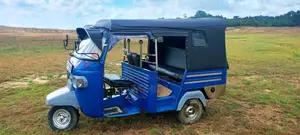 Piaggio Ape 2012 Three Wheel (Used)