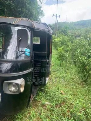 Piaggio Ape 2013 Three Wheel (Used)