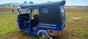 Piaggio Ape 2012 Three Wheel (Used)