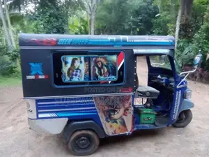 Piaggio Ape 2009 Three Wheel (Used)