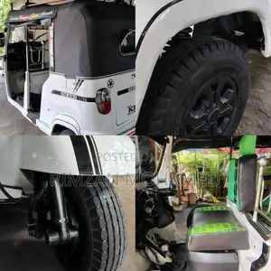 TVS King 2013 Three Wheel (Used)