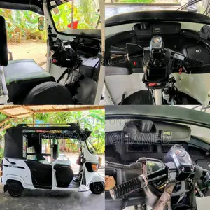 TVS King 2013 Three Wheel (Used)