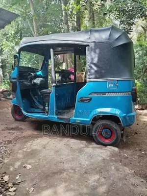 TVS KING 2012 Three Wheel (Used)
