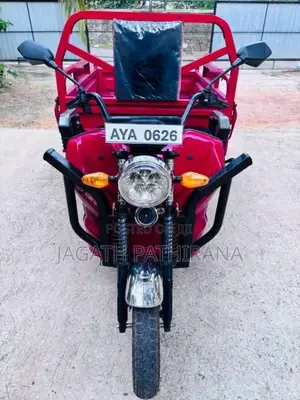 Other ZJ150 2025 Three Wheel (Used)