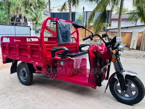 Other ZJ150 2025 Three Wheel (Used)