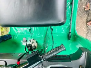 Bajaj RE 2010 Three Wheel (Used)
