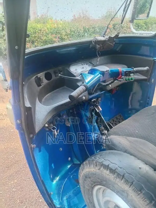 Piaggio Ape 2010 Three Wheel (Used)