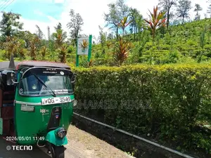 Bajaj RE 2009 Three Wheel (Used)