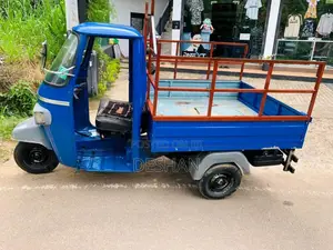 Piaggio Ape 2009 Three Wheel (Used)