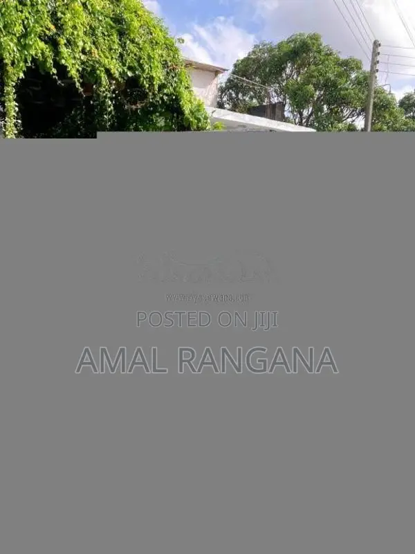 Piaggio Ape 2011 Three Wheel (Used)