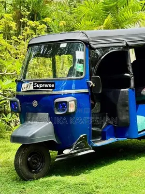 Piaggio Ape 2011 Three Wheel (Used)