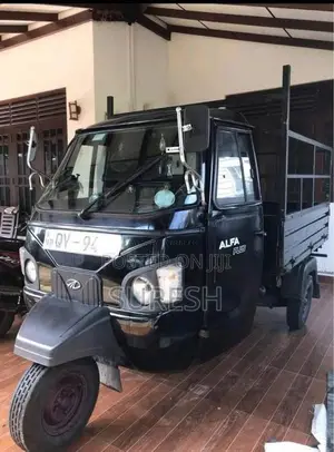 Mahindra Alfa Plus 2019 Three Wheel (Used)