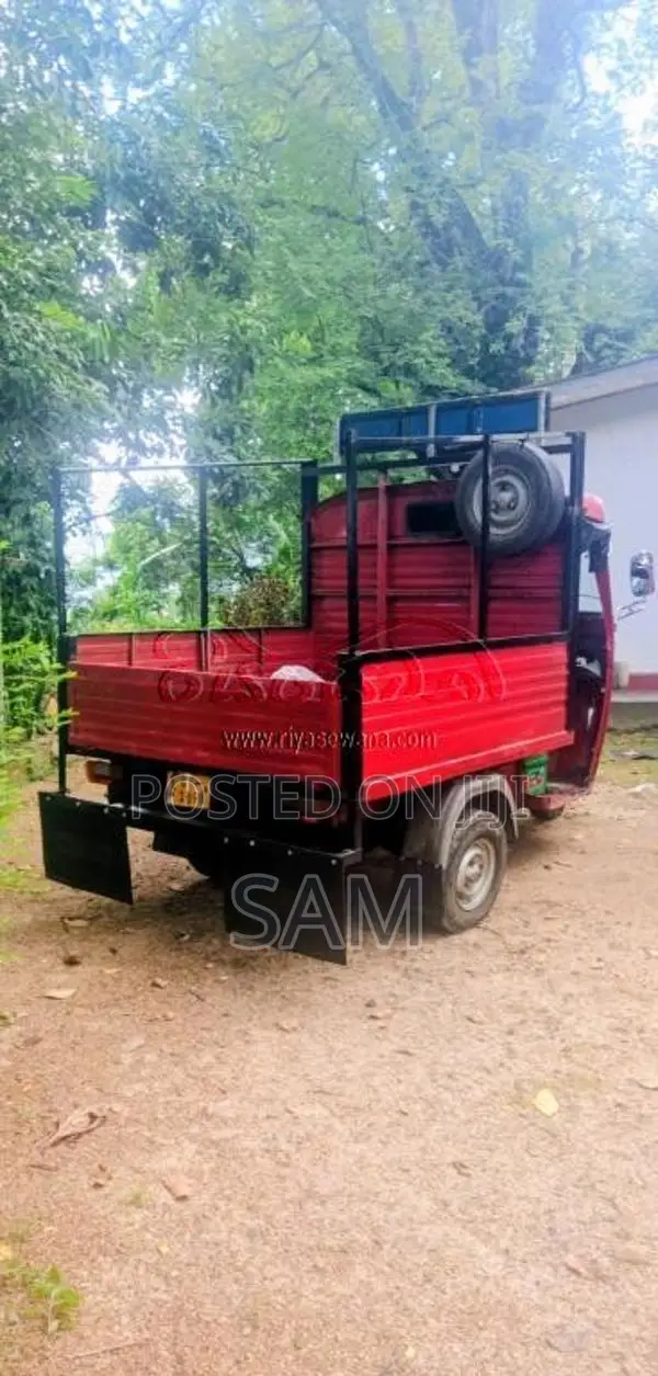 Piaggio Ape 2009 Three Wheel (Used)