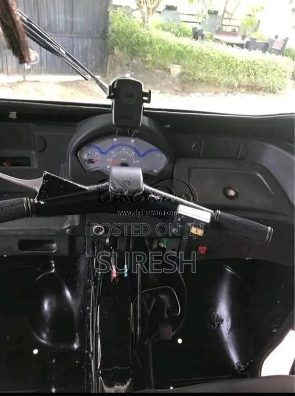 Mahindra Alfa Plus 2019 Three Wheel (Used)