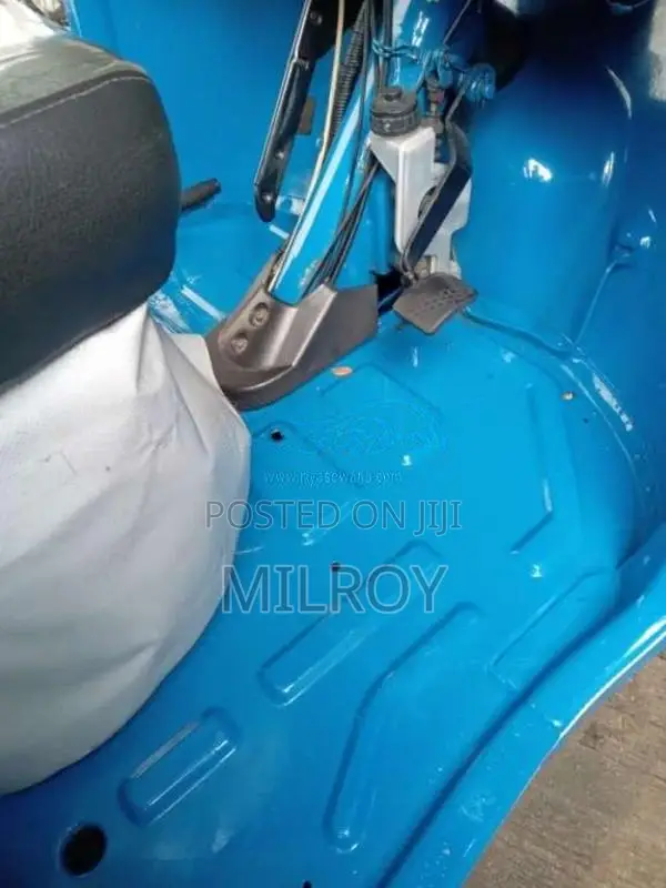 TVS King 2019 Three Wheel (Used)