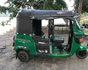 TVS King 2011 Three Wheel (Used)