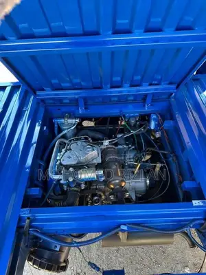 Piaggio Ape 2026 Three Wheel (Used)