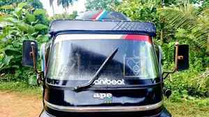 Piaggio Ape 2013 Three Wheel (Used)