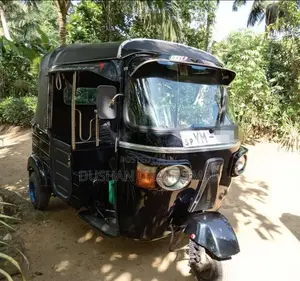 Bajaj RE 2011 Three Wheel (Used)