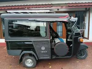 Piaggio APE DX 2025 Three Wheel (Used)