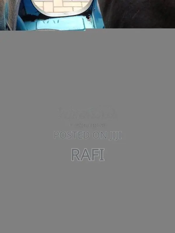 Bajaj RE 2013 Three Wheel (Used)