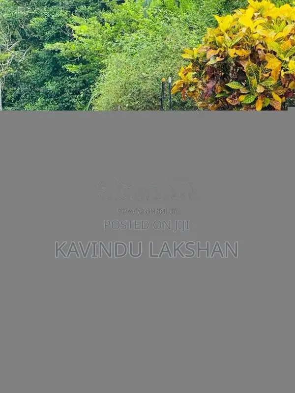 Bajaj 2 Stroke 2003 Three Wheel (Used)