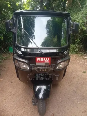 TVS King 2025 Three Wheel (Used)