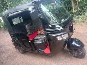 TVS King 2025 Three Wheel (Used)