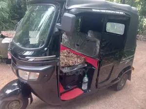 TVS King 2025 Three Wheel (Used)
