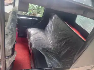 TVS King 2025 Three Wheel (Used)