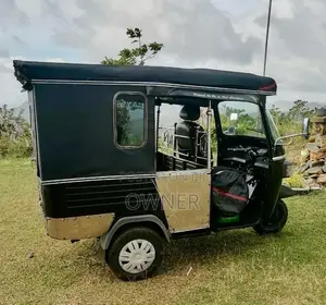 Piaggio Ape 2013 Three Wheel (Used)