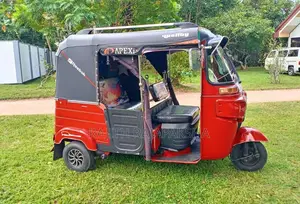 Bajaj RE 2015 Three Wheel (Used)