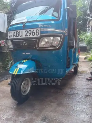 TVS King 2019 Three Wheel (Used)