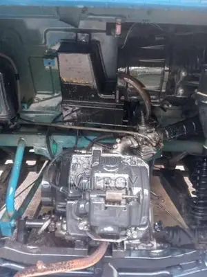 TVS King 2019 Three Wheel (Used)
