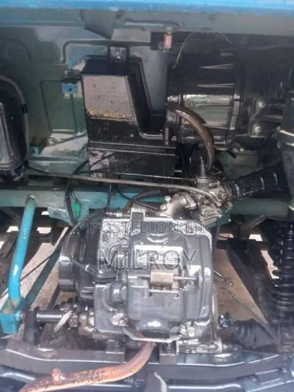 TVS King 2019 Three Wheel (Used)