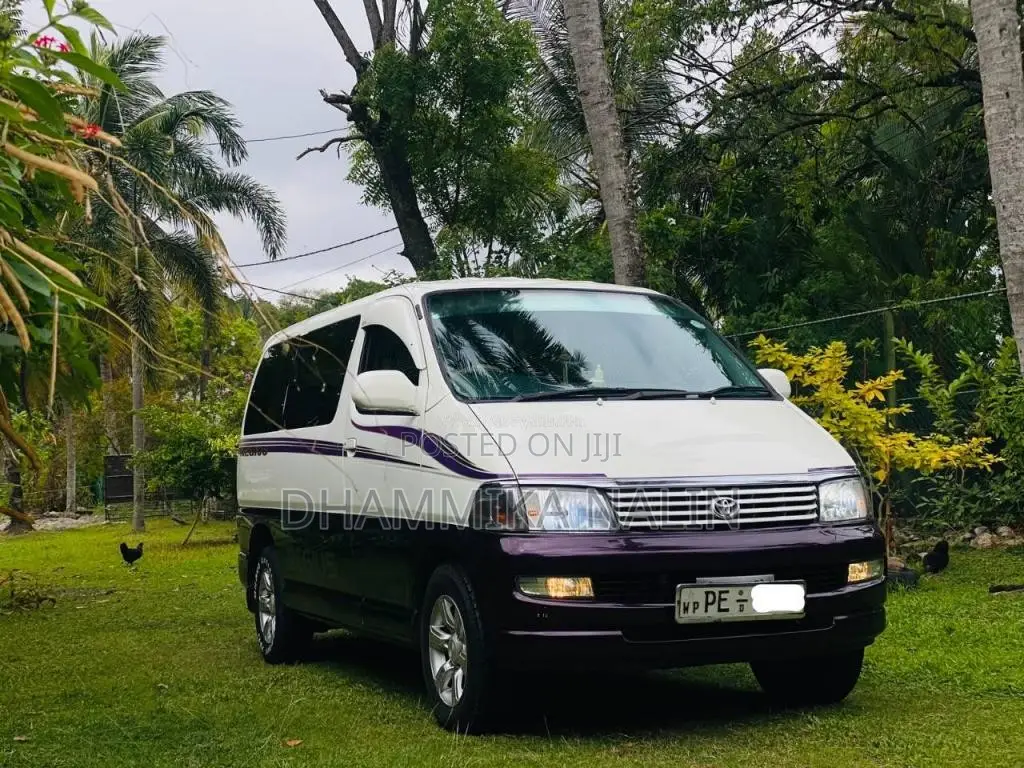 Toyota Regius Grand Cabin 2002 Van (Used)