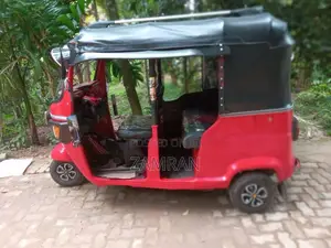 TVS King 2010 Three Wheel (Used)