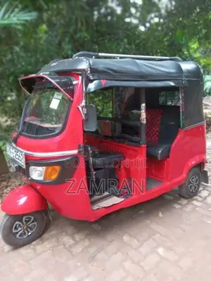 TVS King 2010 Three Wheel (Used)