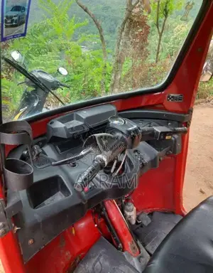 TVS King 2018 Three Wheel (Used)