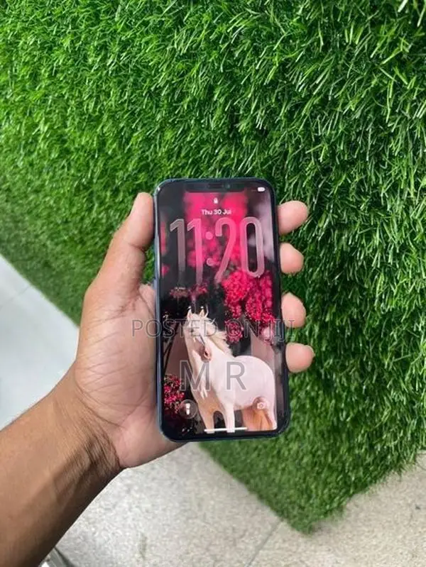 Apple iPhone 12 128GB (Used)