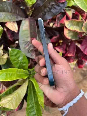 Apple iPhone 13 (Used)