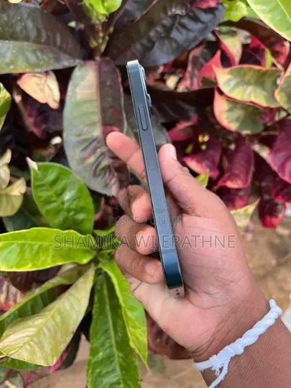 Apple iPhone 13 (Used)