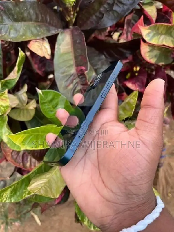 Apple iPhone 13 (Used)
