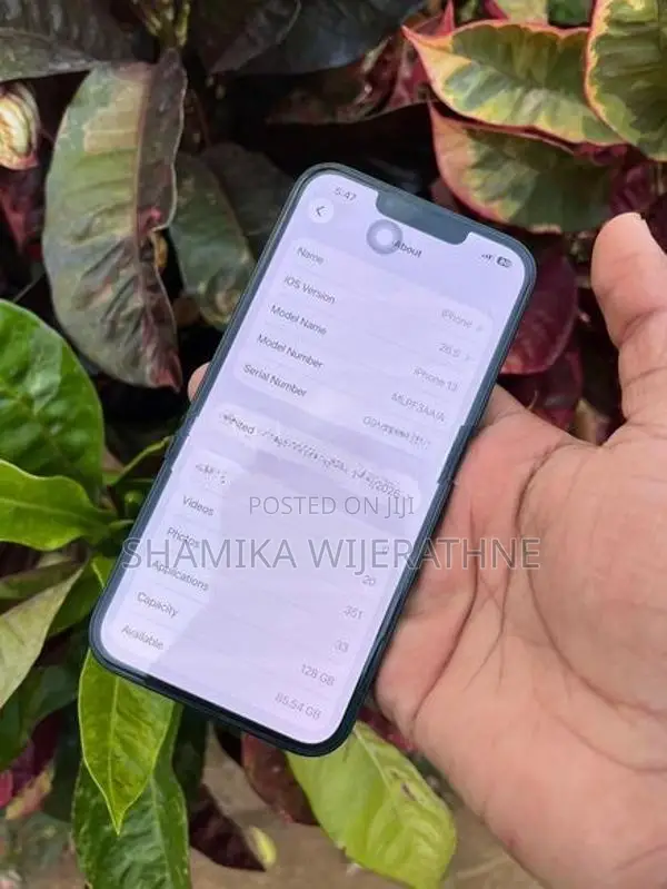 Apple iPhone 13 (Used)