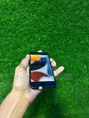 Apple iPhone 7 (Used)