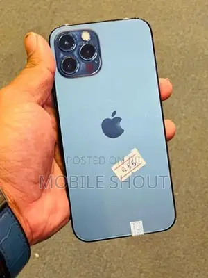 Apple iPhone 12 Pro 256GB (Used)